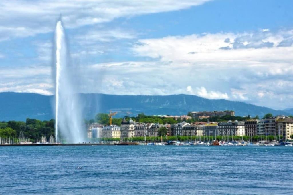 Green Cocon - Gare Annemasse A 3Min-Geneve Acces Direct Luaran gambar